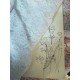MAGLIA BRILL